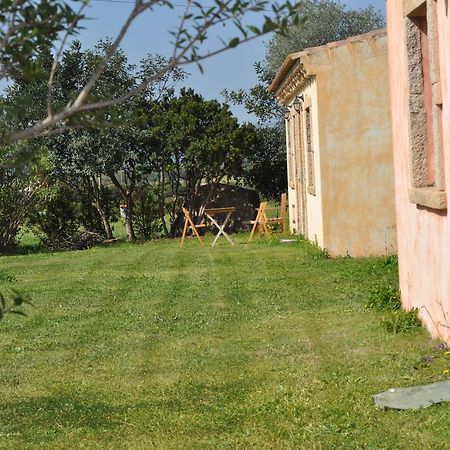 B&B Pubulos Olbia Eksteriør billede