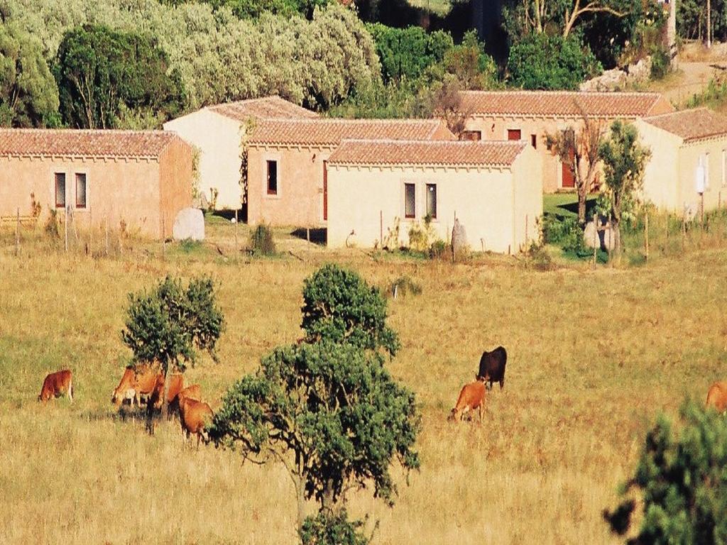 B&B Pubulos Olbia Eksteriør billede